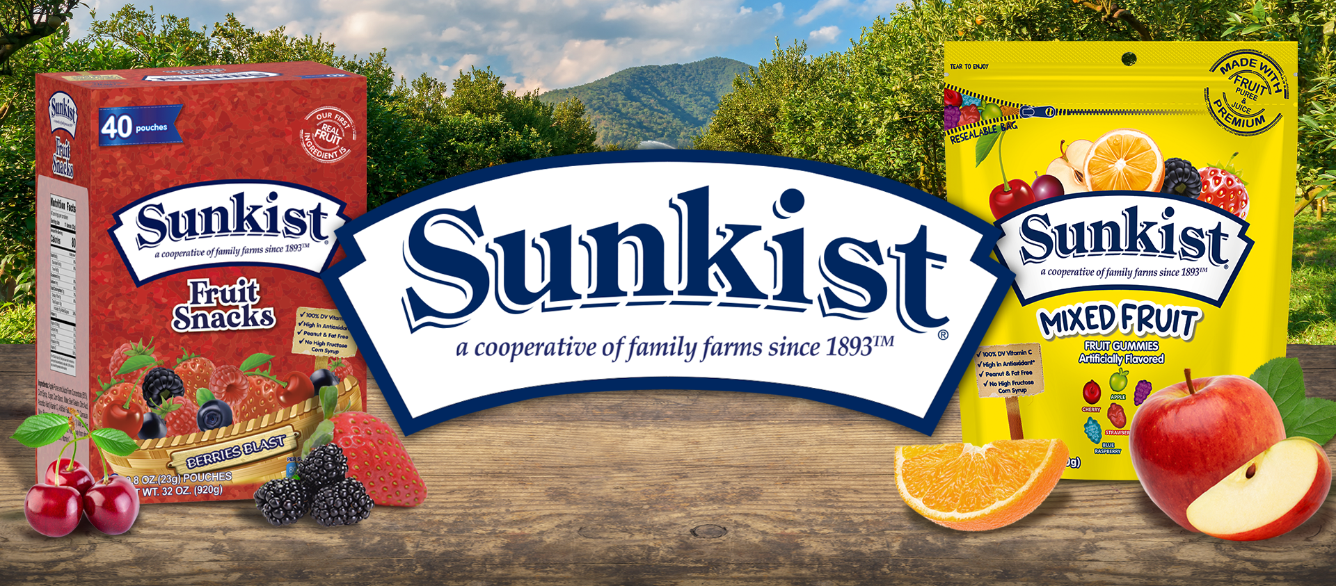 Sunkist logo carousel image