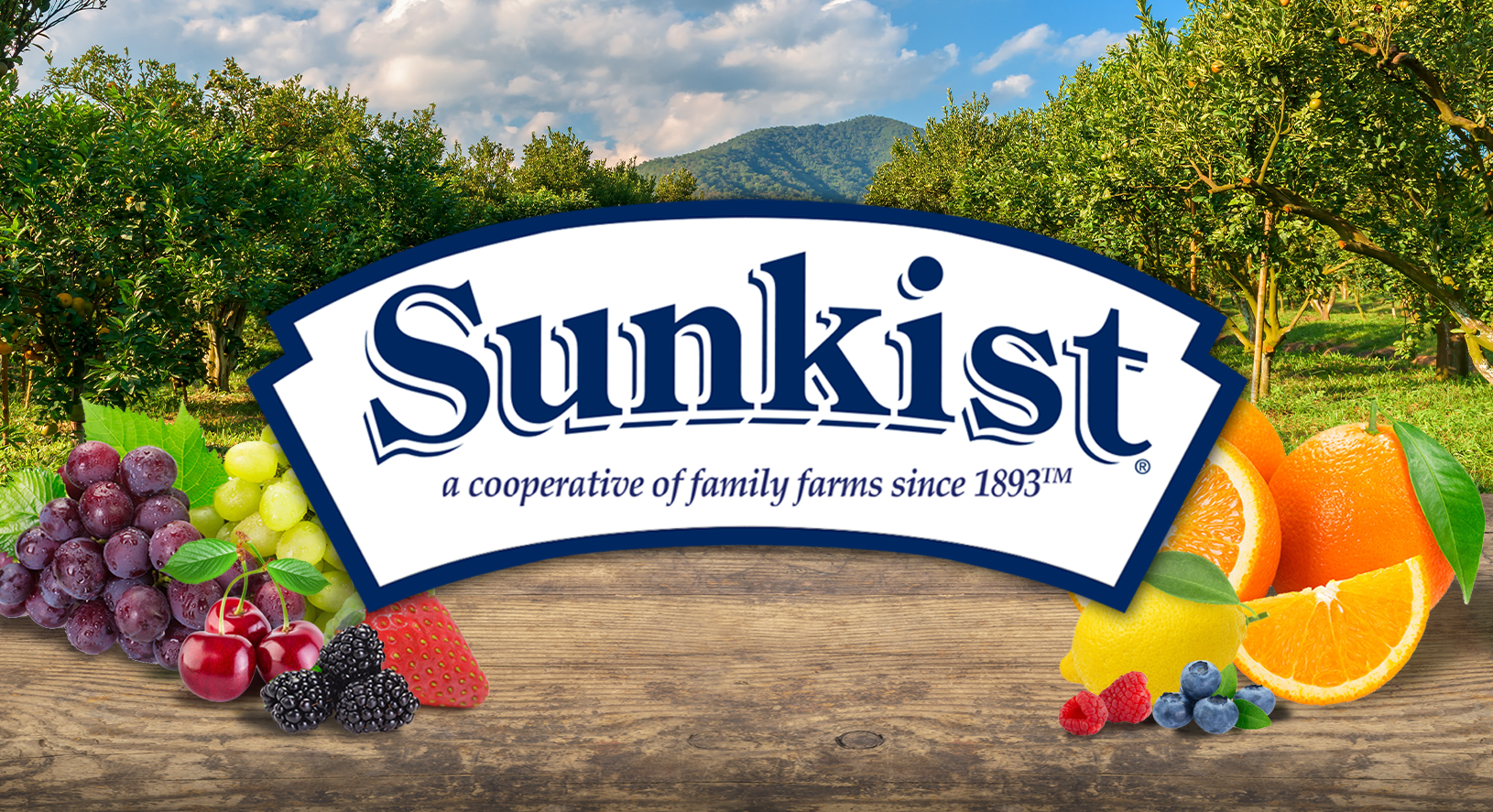 Sunkist brand page image